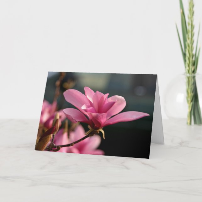 Cartão Flor Notecard da magnólia (Frente)