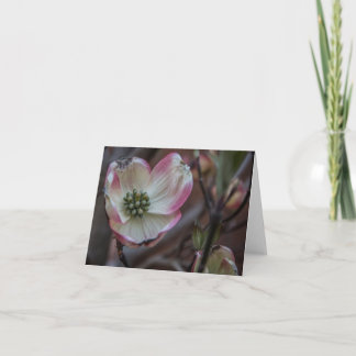 Cartão Flor Notecard do Dogwood