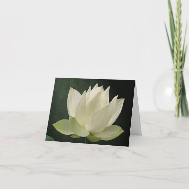 Cartão Flor Notecard floral de Lotus branco (Frente)