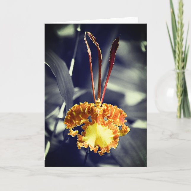 Cartão Flor Orquídea Amarela (Frente)