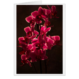 Cartão Flor Orquídea Vermelha