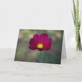 Cartão Flor perfeito da irmã