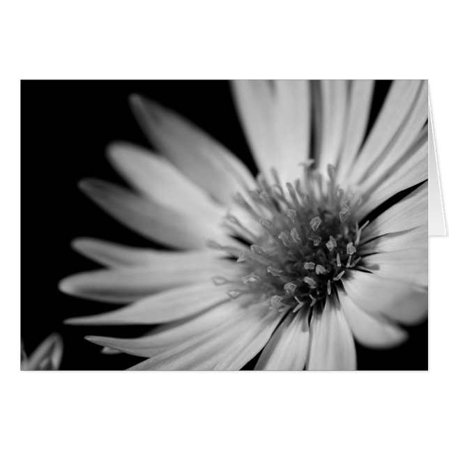 Cartão Flor Preto e Branco (Frente Horizontal)