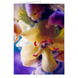 Cartão Flor Primavera brilhante