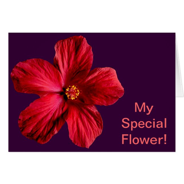 Cartão Flor Red Hibiscus (Frente Horizontal)