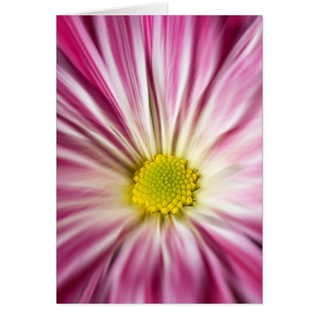 Cartão Flor rosa (Frente)