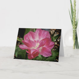 Cartão Flor rosa [Cartão de Saudação]
