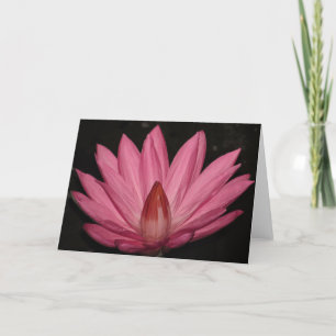 Cartão flor rosa de lótus