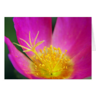 Cartão Flor rosa e amarela