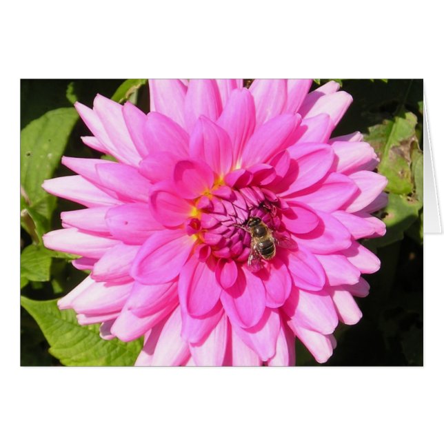 Cartão Flor rosa e placa de abelhas (Frente Horizontal)