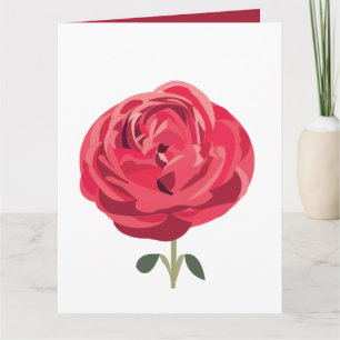 Cartão Flor Rosa Vermelha Floral Rosa Vermelha Saudação