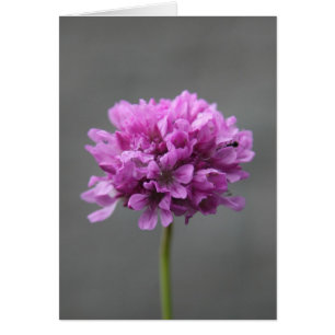 Cartão flor roxa com formiga