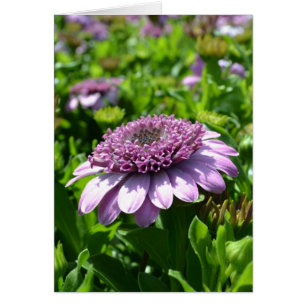 Cartão Flor Roxo