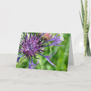 Cartão Flor Roxo