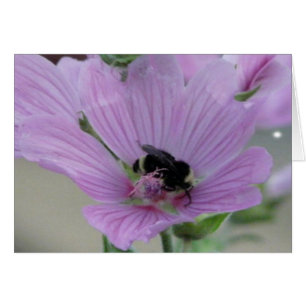 Cartão Flor Roxo Claro Com Placa De Abelhas
