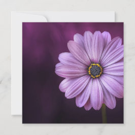 Cartão Flor Roxo no Bloom