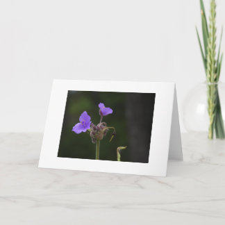 Cartão Flor Silvestre de Tradescantia Blank