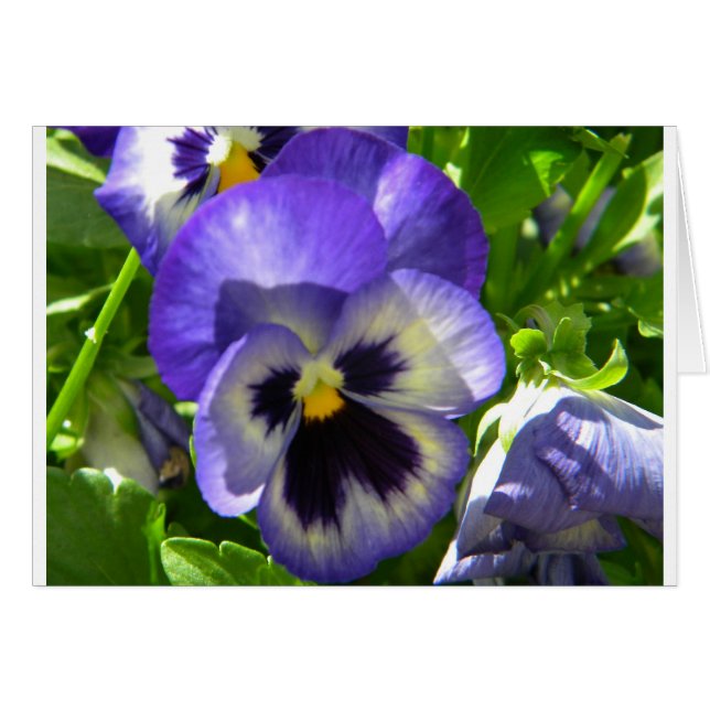 Cartão Flor sorridente (Frente Horizontal)