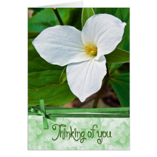 Cartão Flor Trillium com Fita Verde