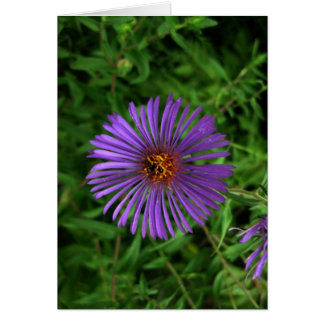 Cartão Flor vazio-Azul
