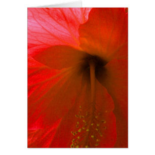 Cartão Flor vermelha do hibiscus