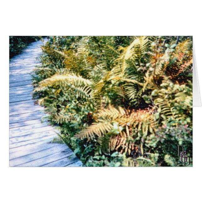 Cartão Flora de Trailside (Frente Horizontal)