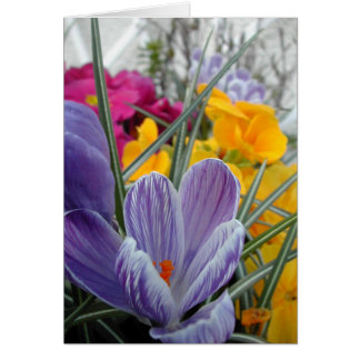 Cartão flora para o primavera #3