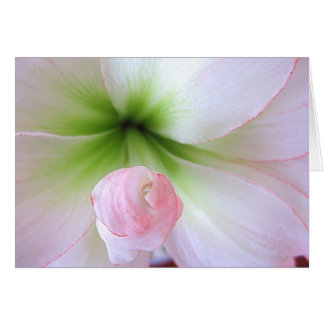 Cartão "Flora Tenera"