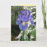 Cartão Floral Azul-Neerlandês Flor<br><div class="desc">Cartão Azul De Flores De Iris. Projetado a partir de uma das minhas fotografias originais do jardim e do meu escrevendo original,  do meu jardim,  aproveite!</div>