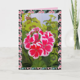 Cartão floral de jardim de flor de Geranium Pelarg