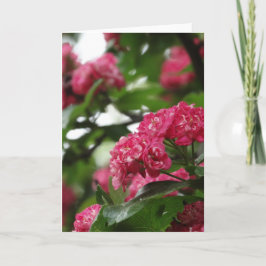 Cartão Floral de Saudação, Padrão