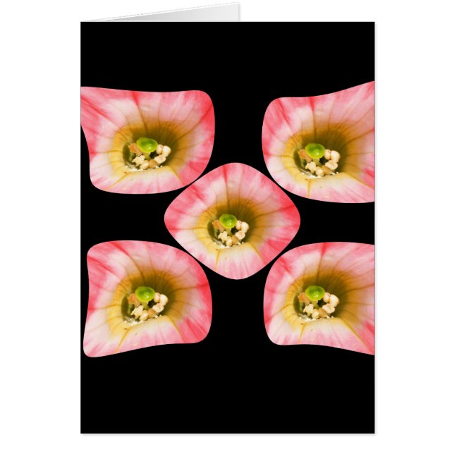 Cartão Floral Delight (Frente)