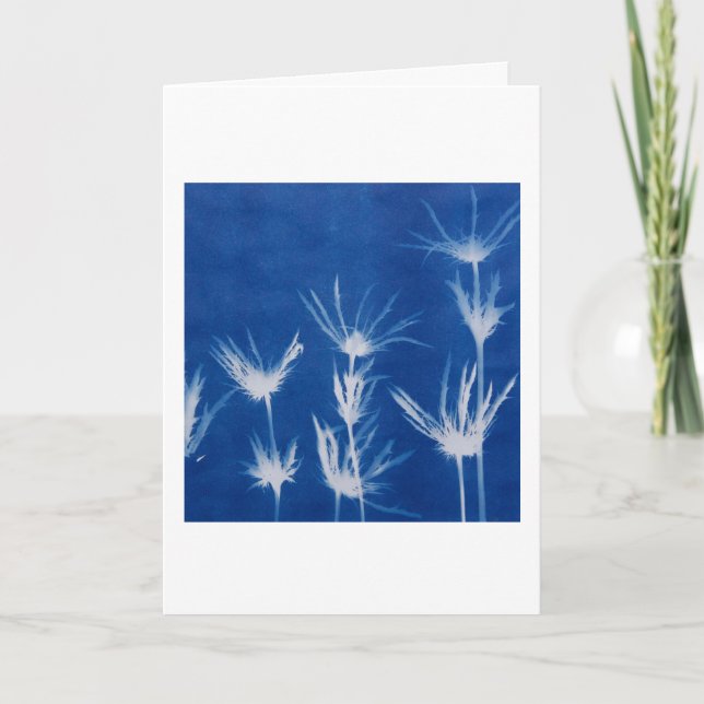 Cartão Floral Greeting Card Blank Inside  (Frente)