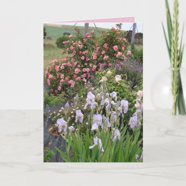 Cartão Floral Íris Jardim de Campo Rosa Beleza (Frente)