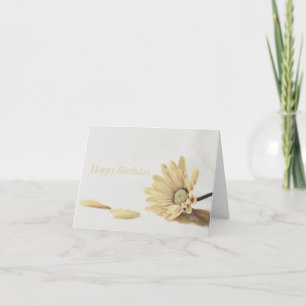 Cartão Floral - Margarida