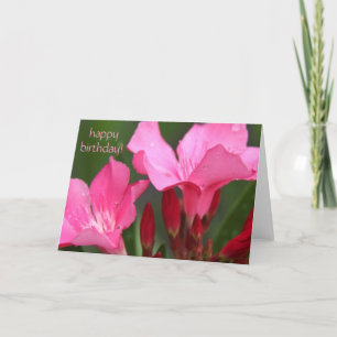 Cartão floral, pretty pink blooms birthday card