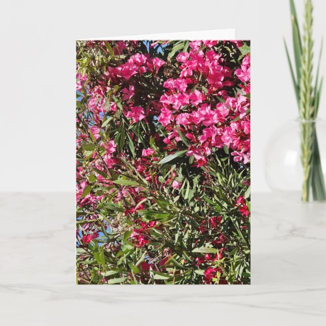 Cartão Floral rosa (Frente)