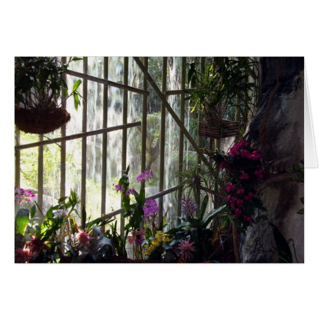 Cartão Floral Waterfall (Frente Horizontal)