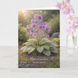 Cartão Florens tardiva A Flor Tardia Botânica