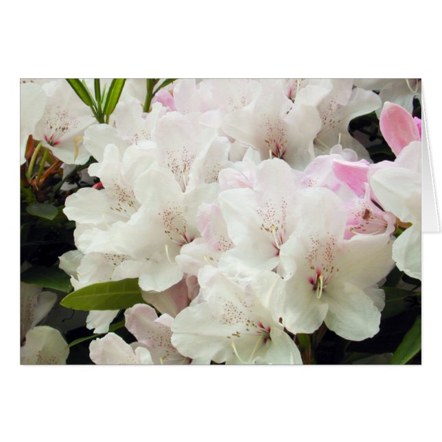 Cartão Flores (Frente horizontal)