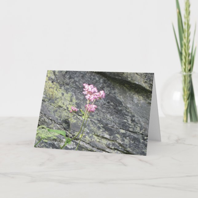 Cartão Flores Alpinas (Frente)