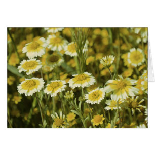 Cartão Flores Amarelas