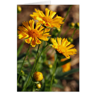 Cartão Flores amarelas bonito