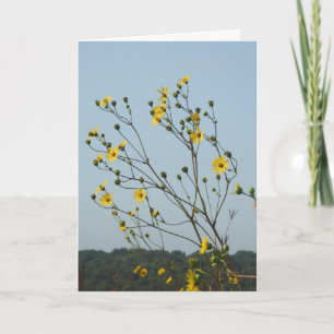 Cartão Flores Amarelas Pensando Em Sua Amizade