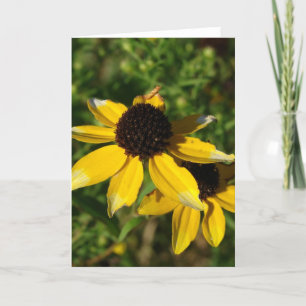 Cartão Flores Amarelas Pequenas