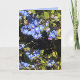 Cartão Flores Azul Esqueçam-Me-Não