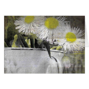 Cartão Flores bonito Semelhantes à Margarida em um Grupo