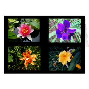 Cartão Flores bonito, vazio