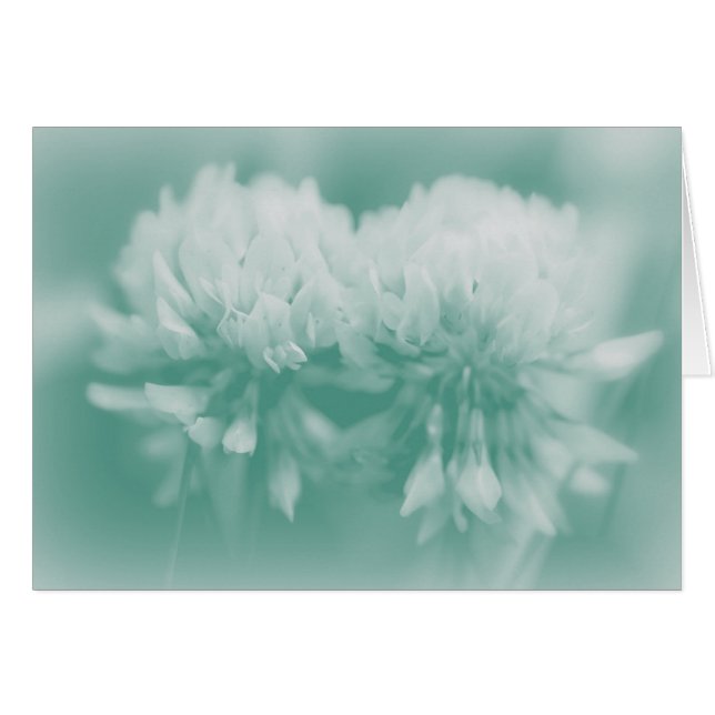 Cartão Flores Brancas (Frente Horizontal)