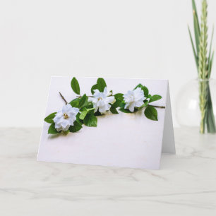 Cartão Flores brancas de Gardenia